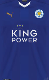 Leicester City Kit