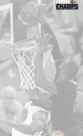 LeBron Mega Block