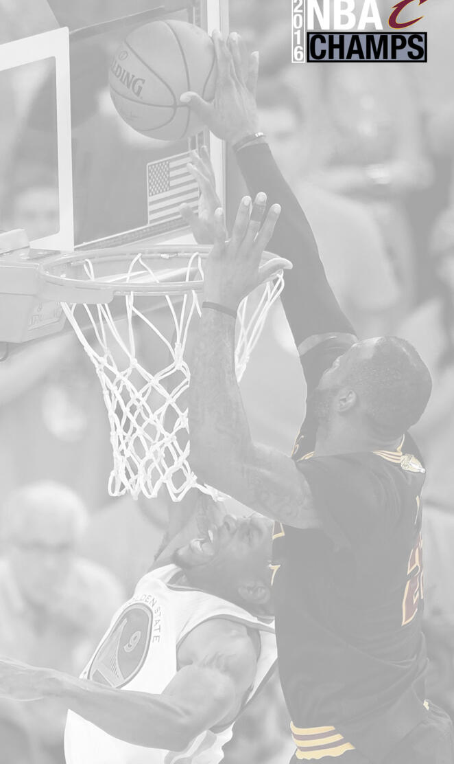 LeBron Mega Block