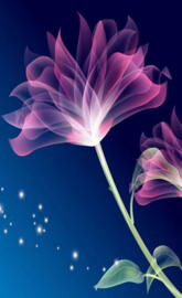 Flower hidhlight