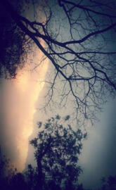 Before the clouds