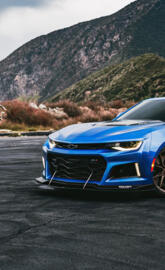 Zl1 1le