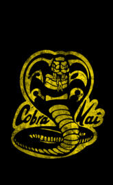 Cobra Kai 2018