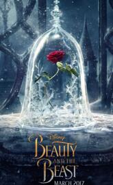 Beauty And The Beast