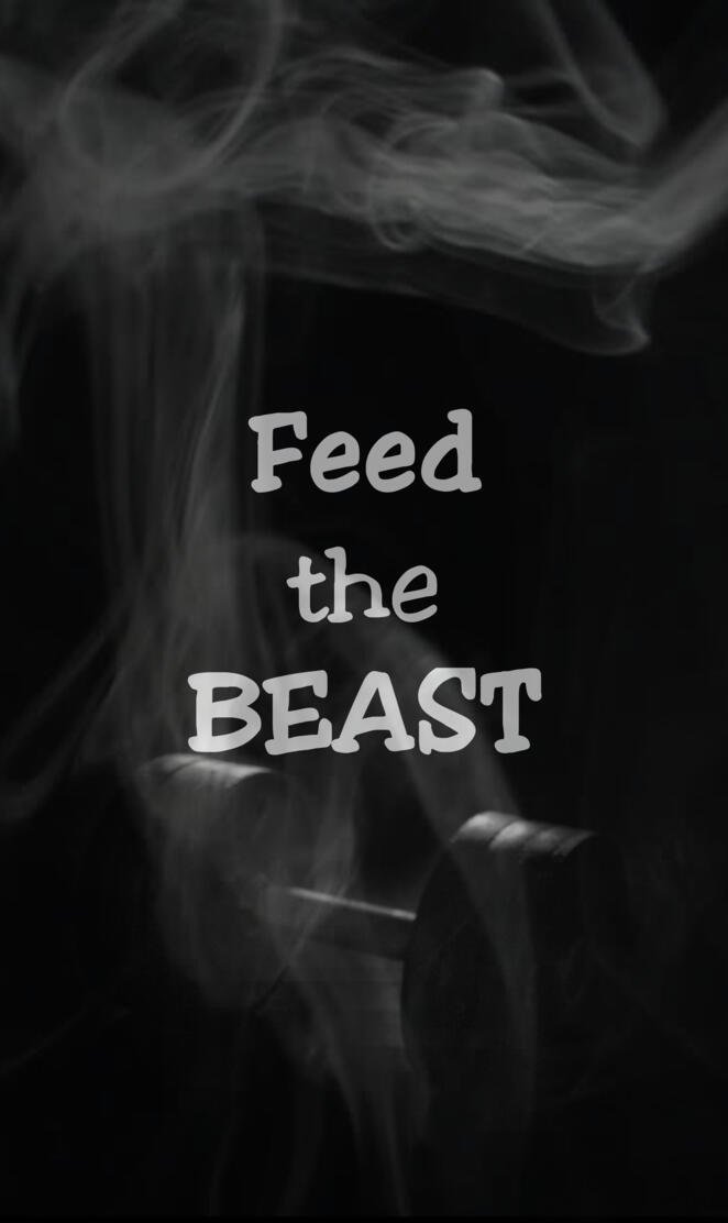 Feed The BEAST 2017