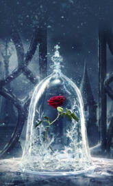 Beauty and the beast