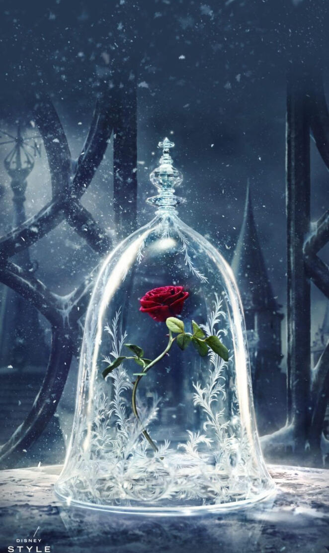 Beauty and the beast