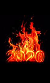 2020 on fire