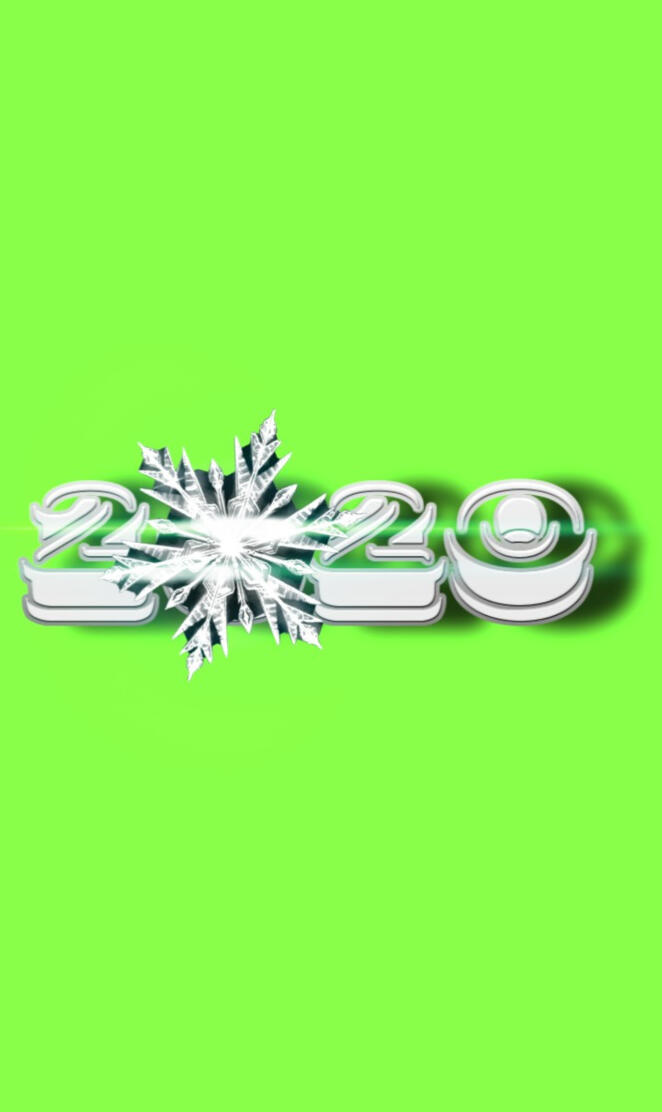 2020 Snowflake