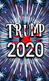 Trump 2020