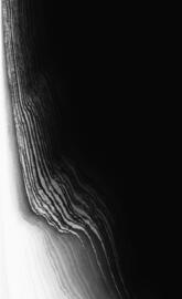 MONOCHROME WALLPAPER