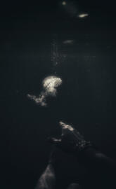 Hoping for the light