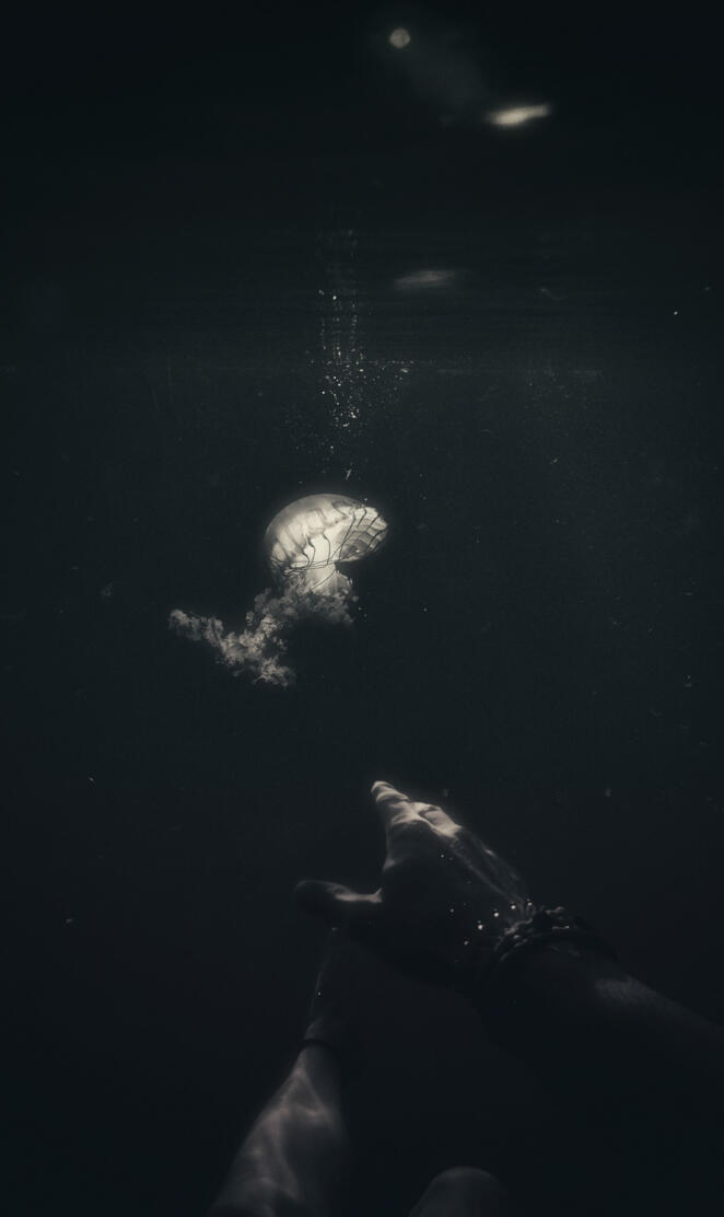 Hoping for the light