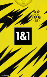 Dortmund home 2021