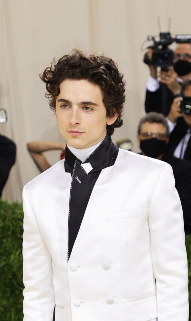 Timotheè chalamet