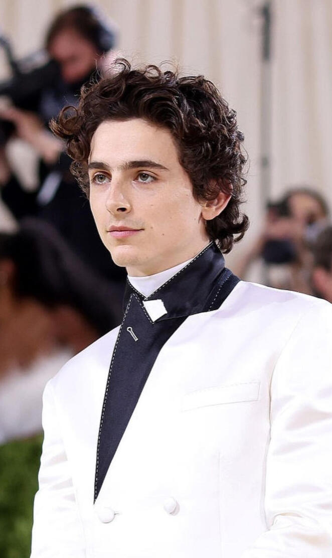 Timotheè chalamet