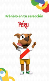Pibe hincha Peru