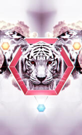 Tigers And Hexagons