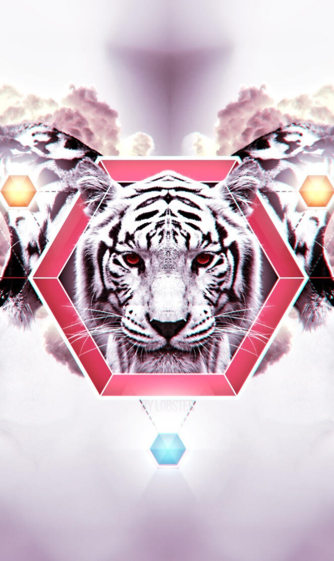 Tigers And Hexagons