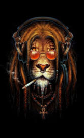 rastas lion