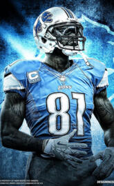 Calvin Johnson