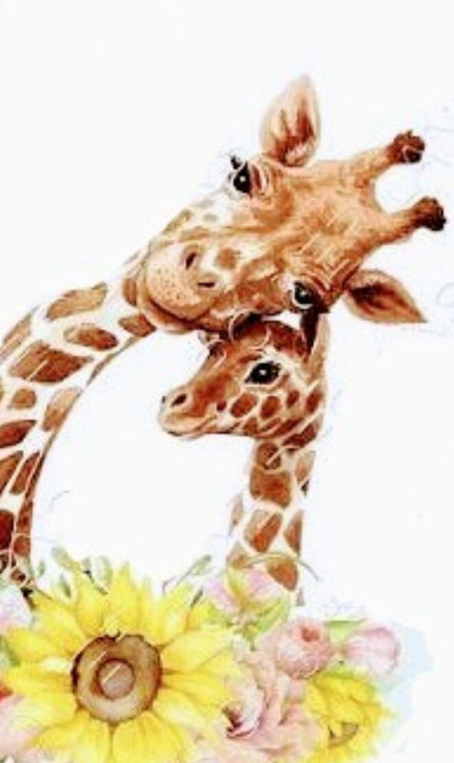 Giraffes