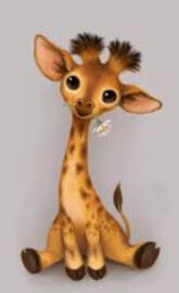 Giraffe baby