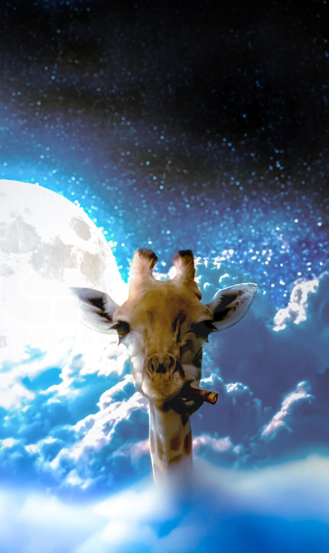 Giraffe on Sky