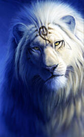 solaris lion blue