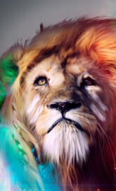 Lion colorful FullHD
