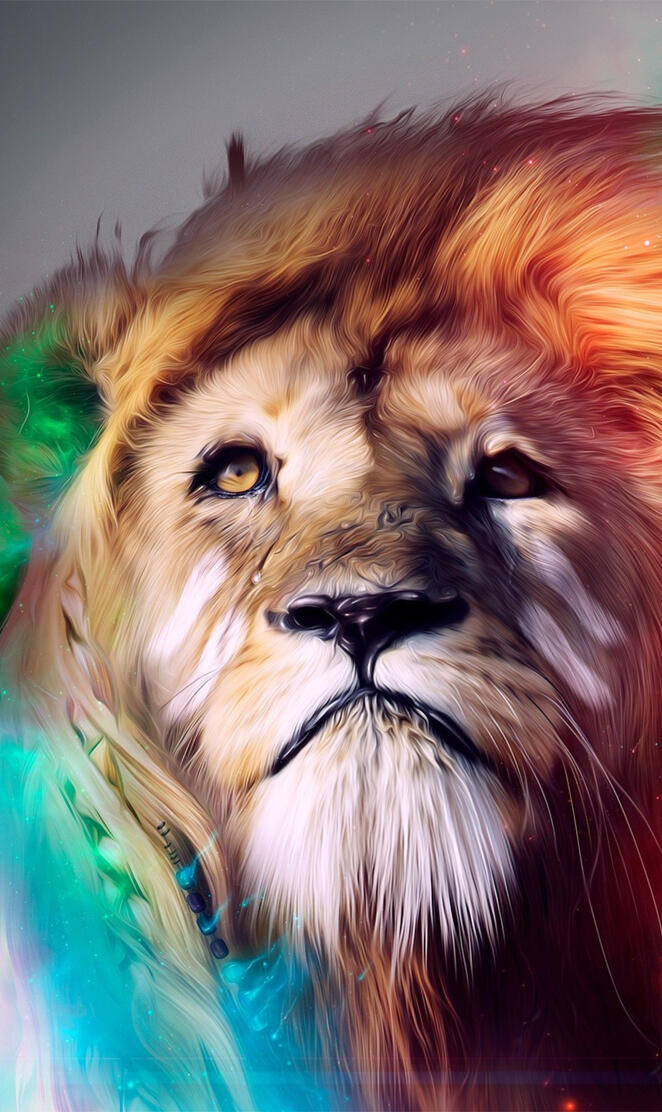 Lion colorful FullHD