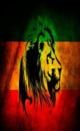 Lion reggae peace