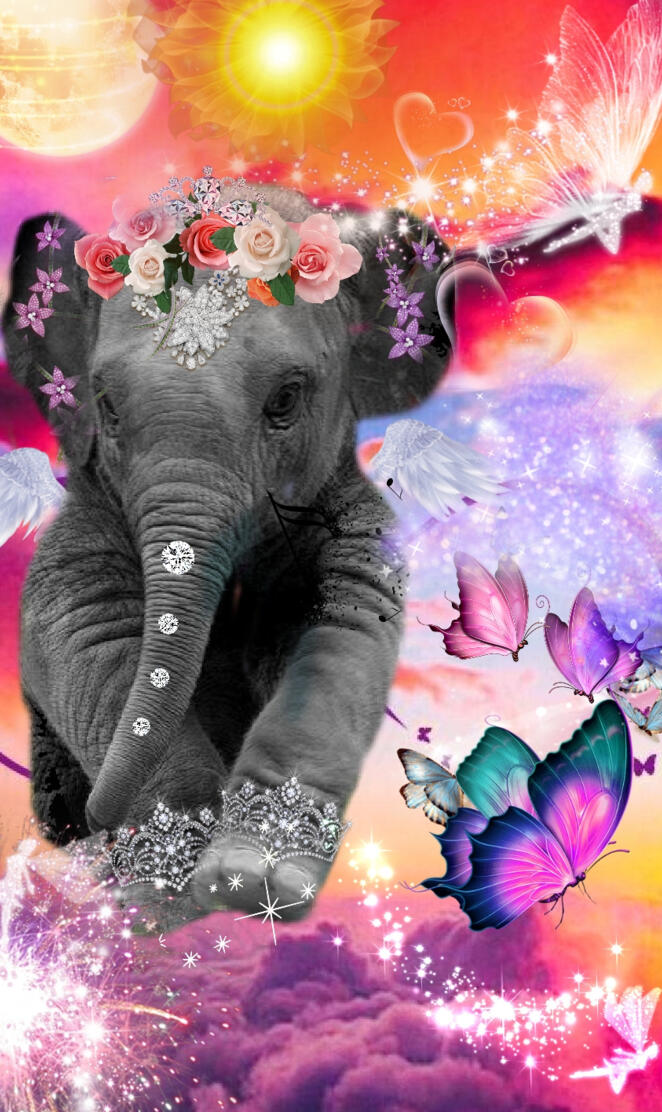Love more elephants
