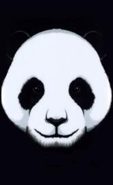panda
