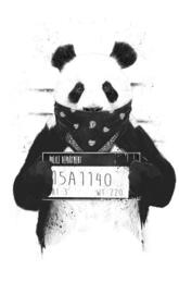 Pandaa