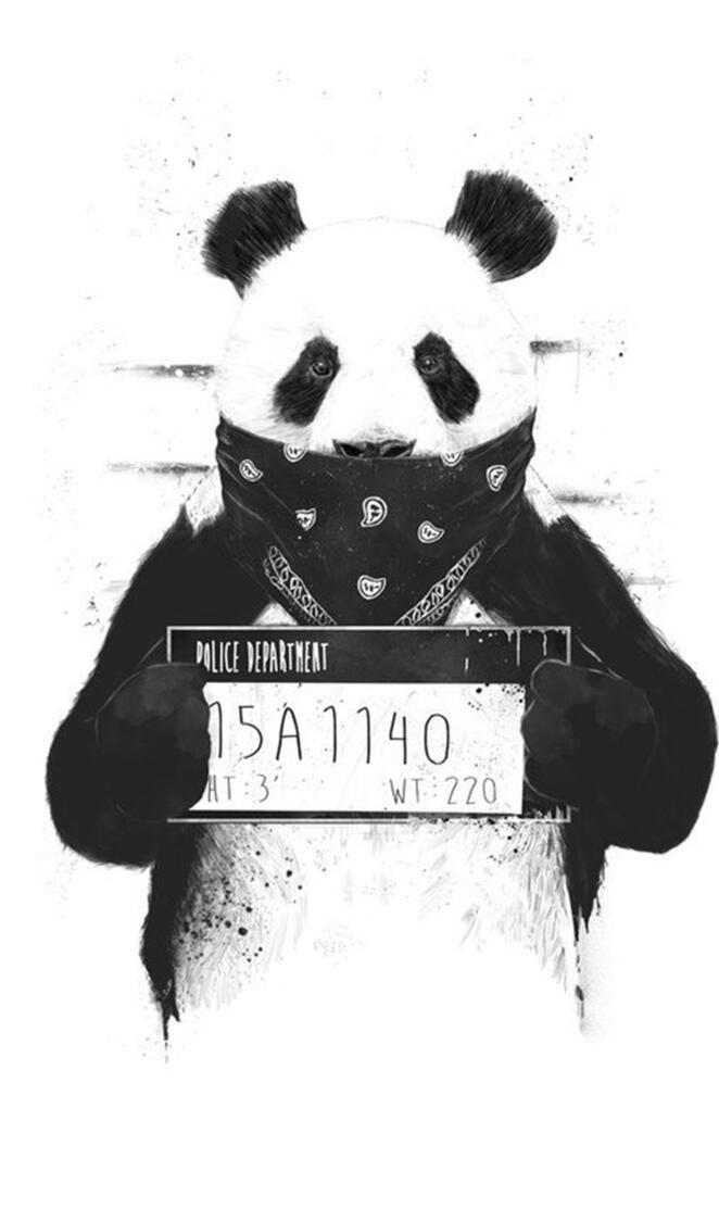 Pandaa