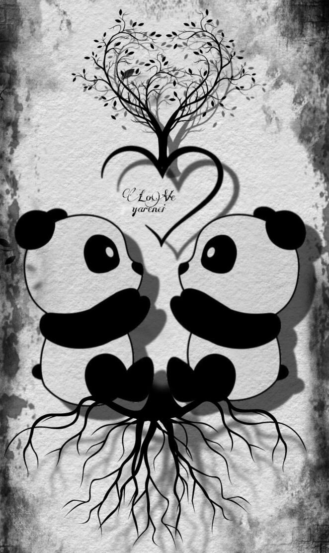 Amor de panda