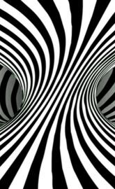 Abstract zebra
