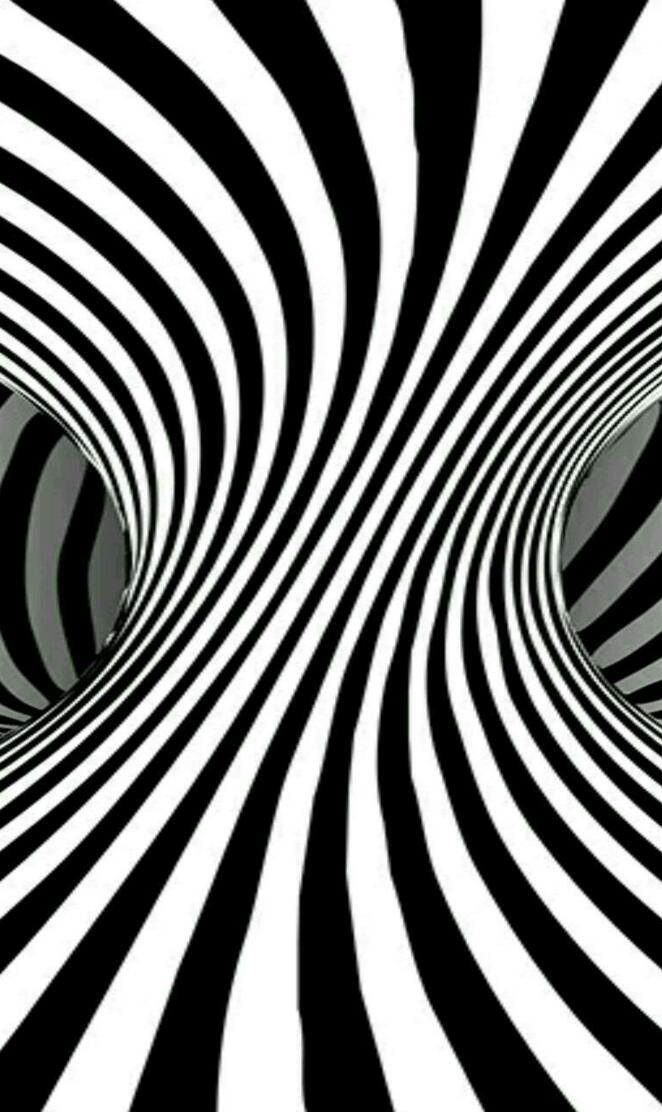 Abstract zebra