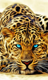 LEOPARD