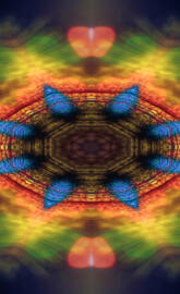 Art Camille Kleinman