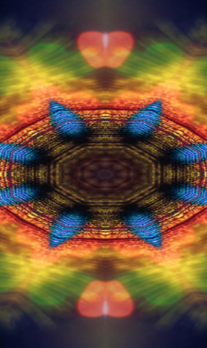 Art Camille Kleinman