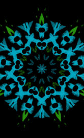 What did the Fox say