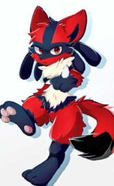 Lucario Fox