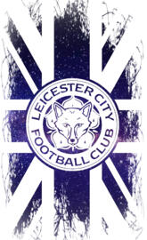 Leicester City blue