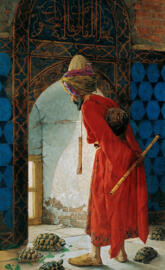 The Tortoise Trainer