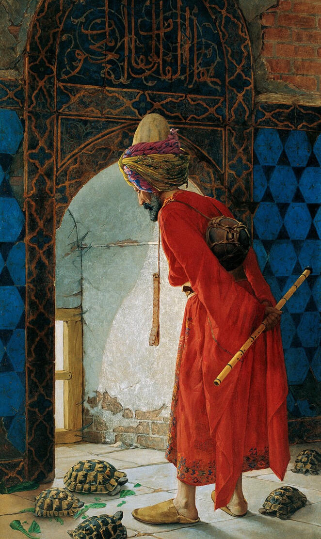 The Tortoise Trainer