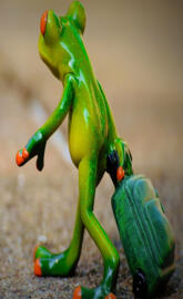 Kermit the frog