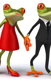 Couple Frogs