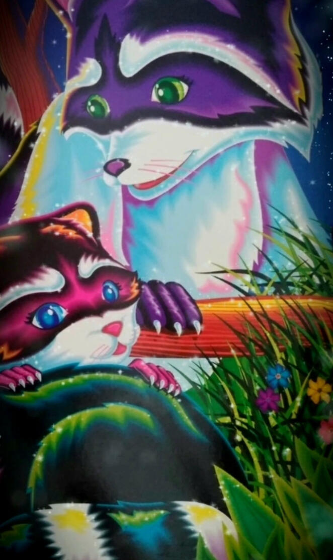 Lisa Frank Raccoons